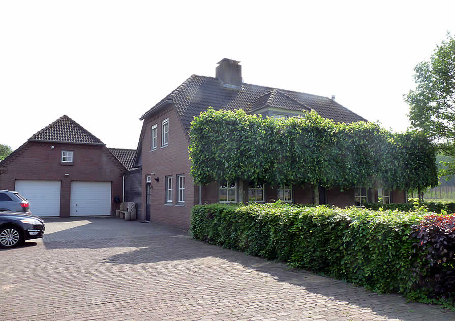 Nieuw rieten dak - bestaande situatie vooraanzicht