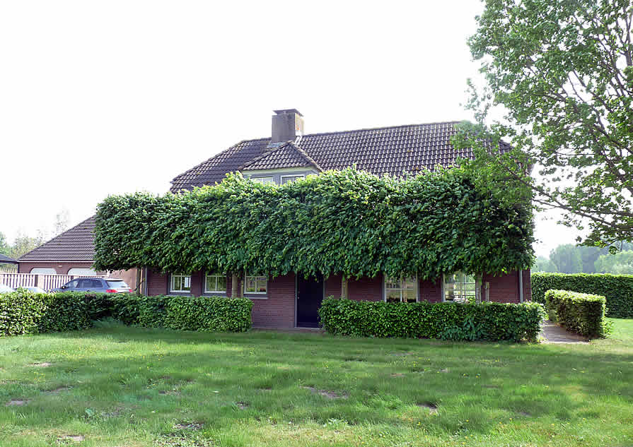 Nieuw rieten dak - bestaande situatie voorzijde